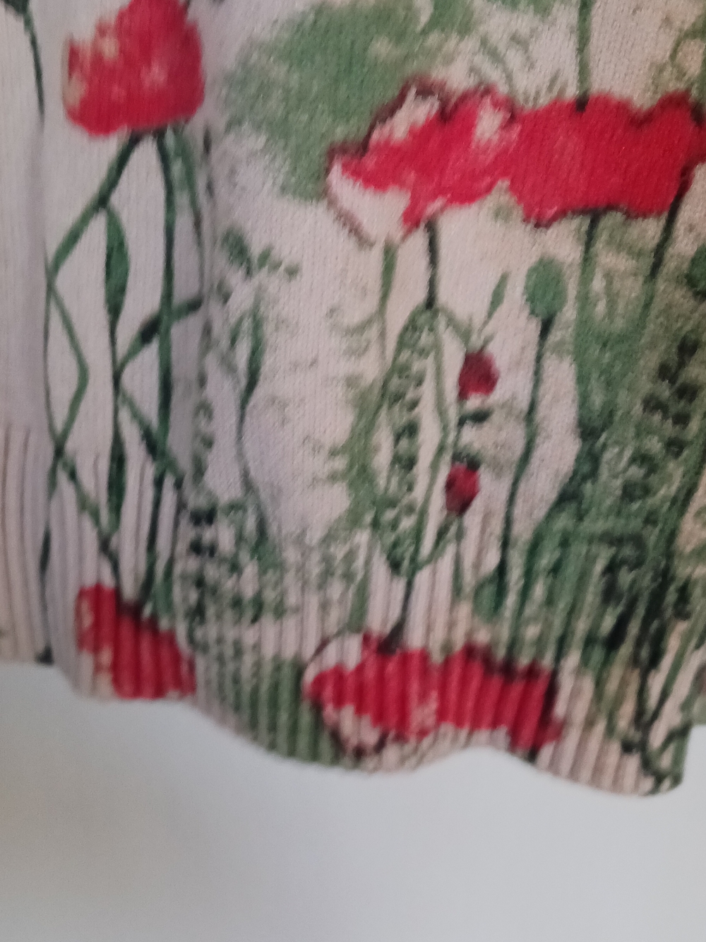 Whimsical Thick Floral Animal Print Sweater in Cream and Red - Picture 8 of 9